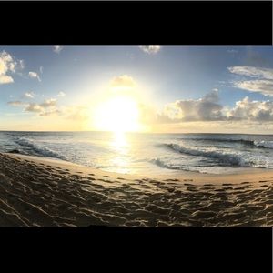 Meet your Posher, Jaylee